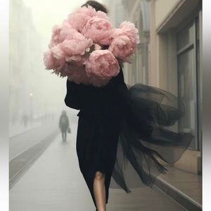 Meet your Posher, Lina